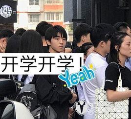 开学爆料的视频大全集最新,校园风云录  第1张