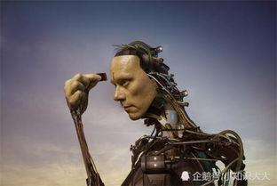 半机械人电影在线观看  第1张